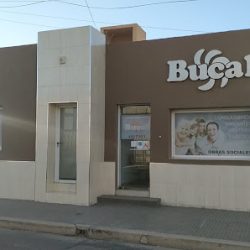 Negocio Bucal Servicios Odontologicos