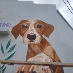 Negocio Bvd Clínica De Bienestar Animal