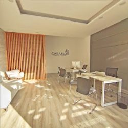 Negocio Carasso Inmobiliaria