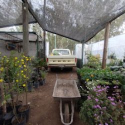 Negocio Casa Vivero