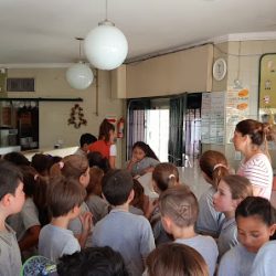 Negocio Casita Norte Helados
