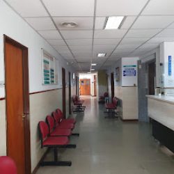 Negocio Centro De Traumatología Y Artroscopia