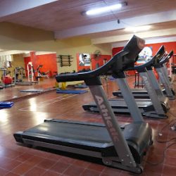 Negocio Cermed Entrenamiento Y RehabilitaciÓn