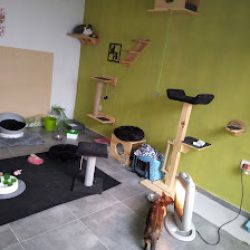 Negocio Clinica Veterinaria Ecovet