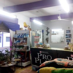 Negocio Clinica Veterinaria Pontoriero Daniel