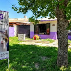 Negocio Clínica Y Visión Veterinaria