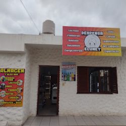 Negocio Despensa Eluney