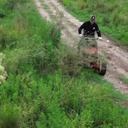 Negocio Don Vicente Sa - Agro Vial Fernández