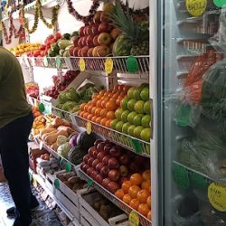 Negocio El Limonero