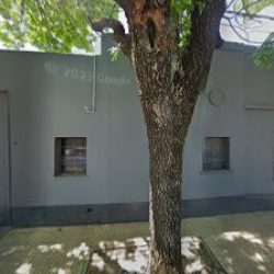 Negocio Estudio Juridico Glineur Berne