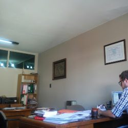 Negocio Estudio Sanchez Y Asociados