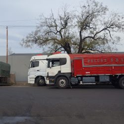 Negocio Expreso Oliva