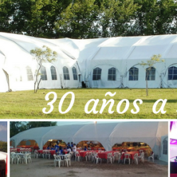 Negocio F D H Carpas