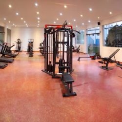 Negocio Genfit