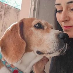 Negocio Guardería Canina