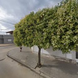 Negocio Help Centro De Ense Anza De Ingles Y De Apoyo Escolar