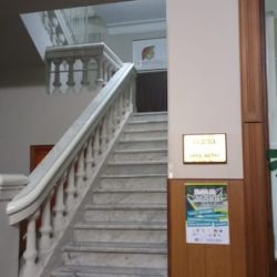 Negocio Instituto De Cultura Italiana Dante Alighieri