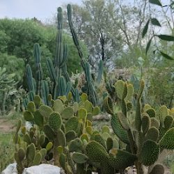 Negocio Jardín Botánico Monte Savia