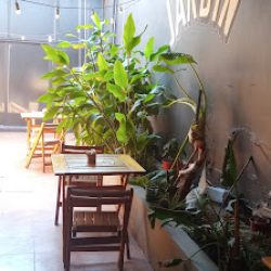 Negocio Jardin Oriental