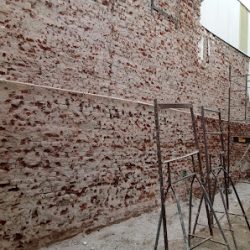 Negocio Jardin Rosarito Vera Peñaloza