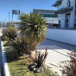Negocio Jardinería Imperio Río Cuarto