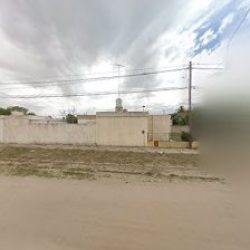 Negocio Jardinería Para El Hogar