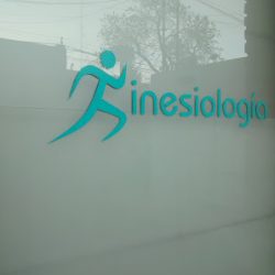 Negocio Kinesiologia