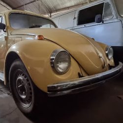 Negocio Kombi Express