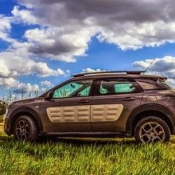 Negocio La Casa Del Peugeot