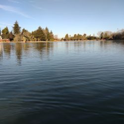 Negocio Lago Villa Dalcar