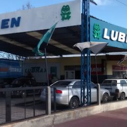 Negocio Lubricentro Sapo