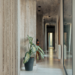 Negocio Manto Arquitectos