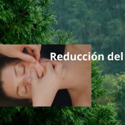 Negocio Masaje Descontracturante.