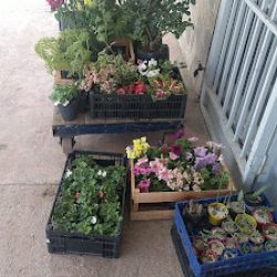 Negocio Mercadito Los Hermanos