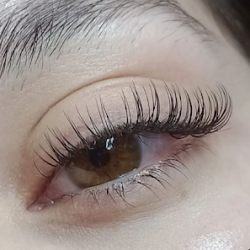 Negocio Micalashbrows