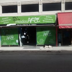 Negocio Moda Arce