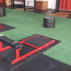 Negocio Motus Centro De Entrenamiento