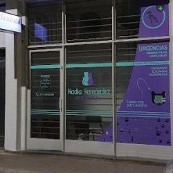 Negocio Nadia Hernández Veterinaria
