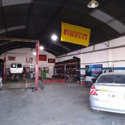 Negocio Neumaticos P&c