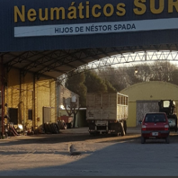 Negocio Neumáticos Sur Srl
