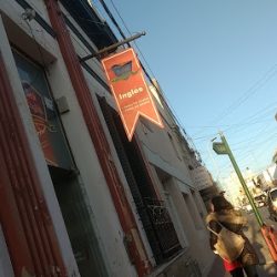 Negocio New English Institute
