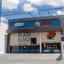 Negocio Pinturerías Plaza Olmos