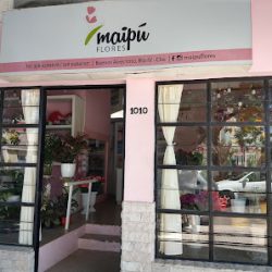 Negocio Pizzeria Il Forno