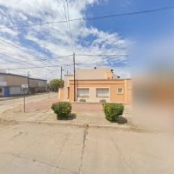 Negocio Porcos S.a.