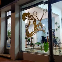 Negocio Salón Ac Peluquería Unisex