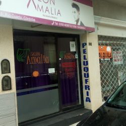Negocio Salon Amalia - Estilista Unisex