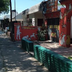 Negocio Servicio Integral Veterinario