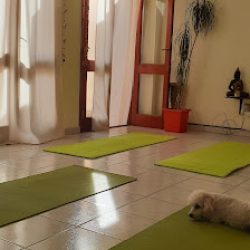 Negocio Shanti Espacio De Vitalidad