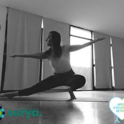 Negocio Surya • Yoga Y Terapias Energéticas •