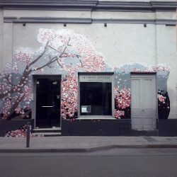 Negocio Tintorería Japonesa